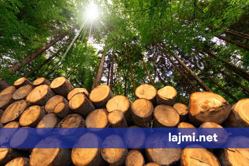 Bie interesimi i kosovarëve për blerjen e druve  shitësit thonë se qytetarët po ngrohen më shumë me klima