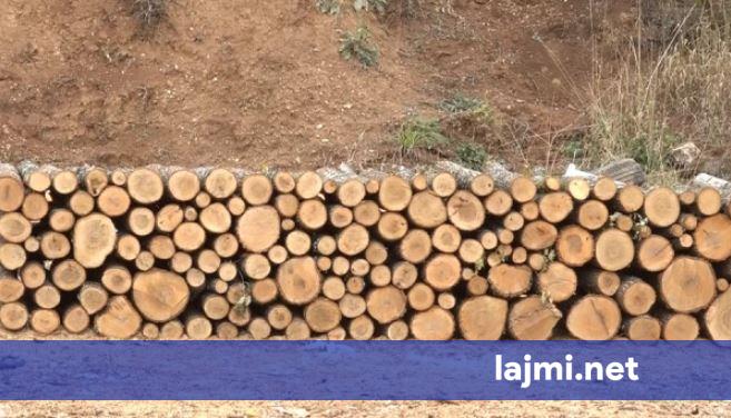  Deri në 70 euro metri i druve   shitësit arsyetojnë çmimet  qytetarët përballen me vështirësi