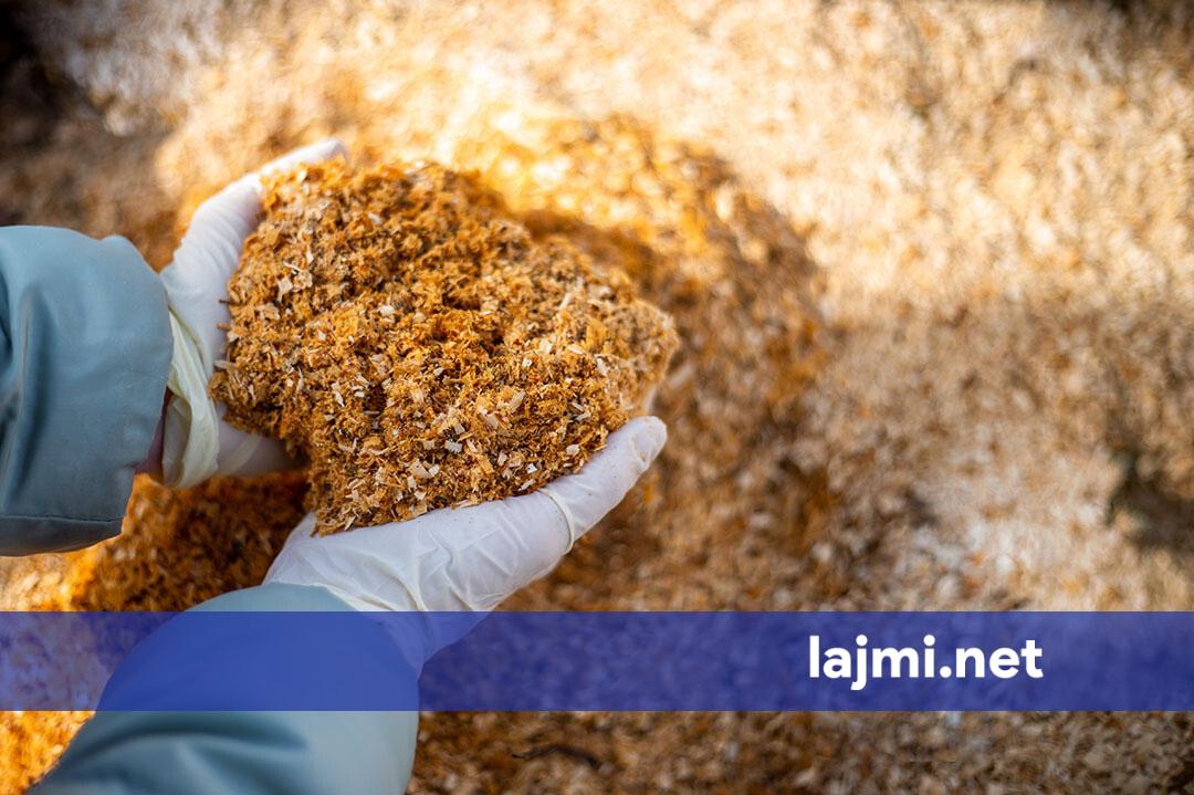 AUV kthen në Serbi mbi 110 tonë koncentrat për lopë qumështore  u gjet aflatoksinë mbi nivelin e lejuar
